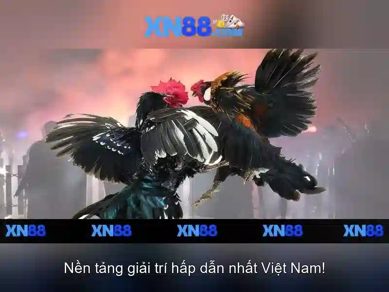 💎xn88 hồ chí minh💎