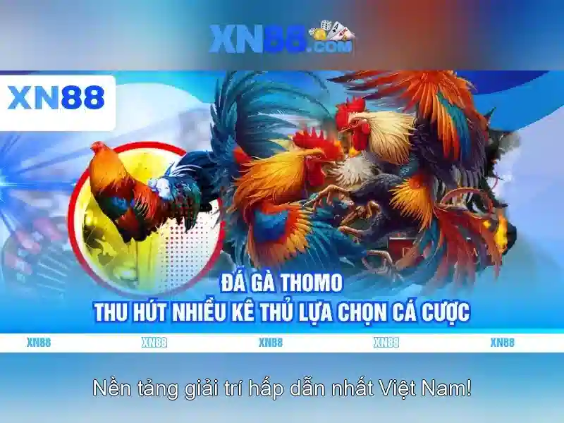 💎xn88 711.com💎