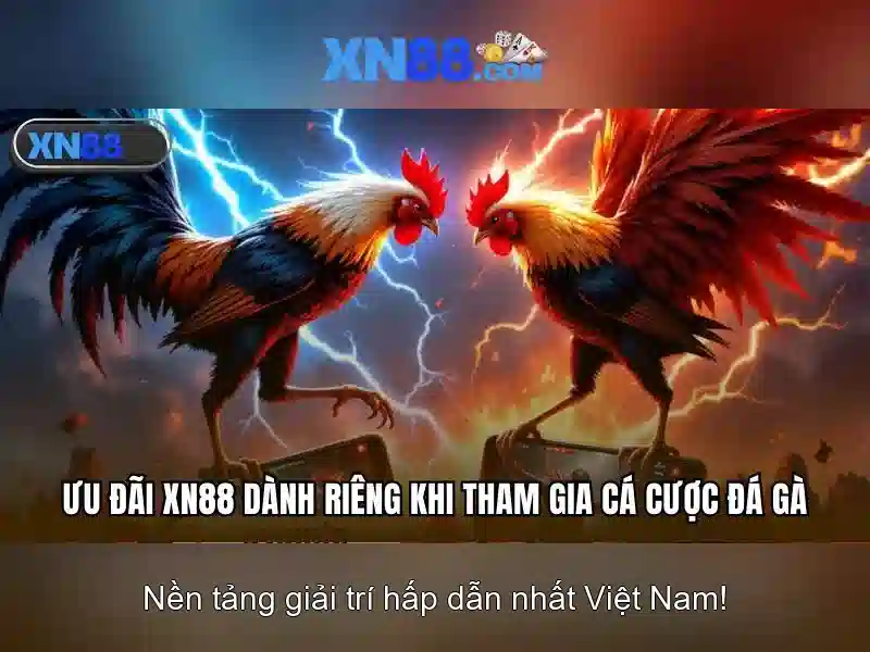 💎xử phạt vi phạm hành chính tội đánh bạc💎
