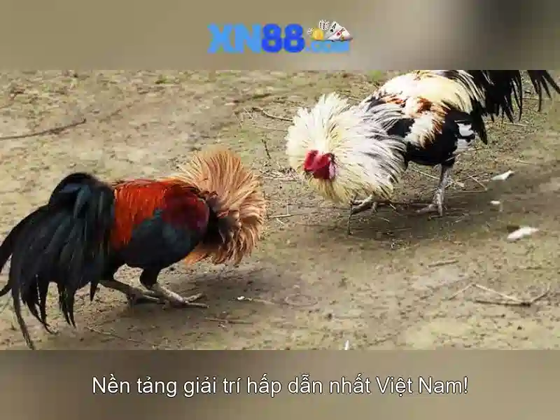 💎pandora slot 188💎