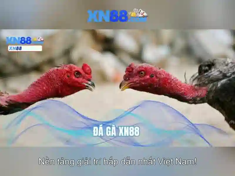 💎hình ảnh của nhip song tay bac💎