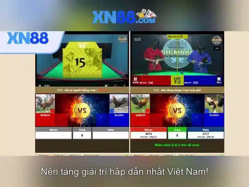 💎bắt đánh bạc tại vĩnh phúc💎