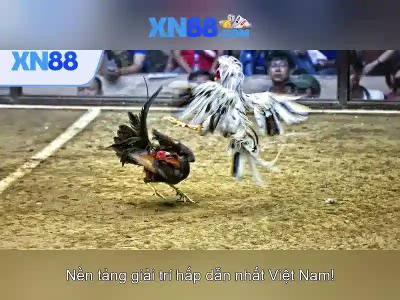 💎hb88 login register philippines💎