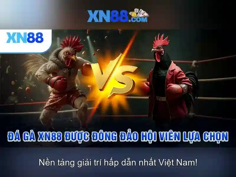 💎bg3 restore spell slots💎