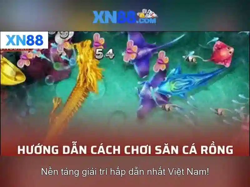 💎tội đánh bạc công nghệ cao khoản 2💎
