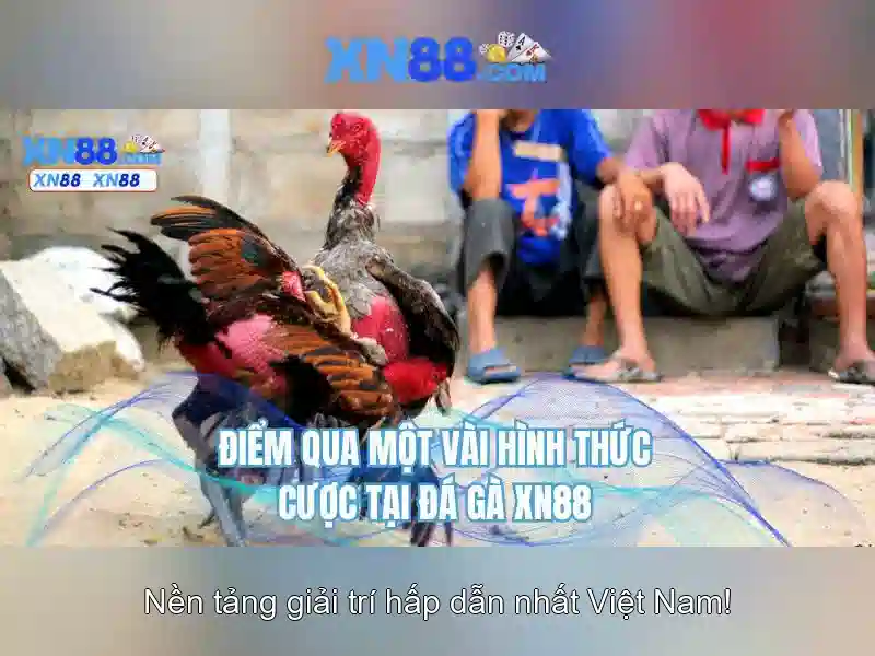 💎who is hb88 slot💎