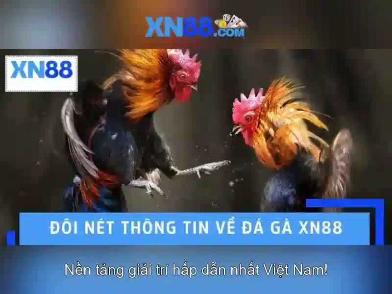 💎bác sỹ thần kỳ nhỏ bé vô song💎