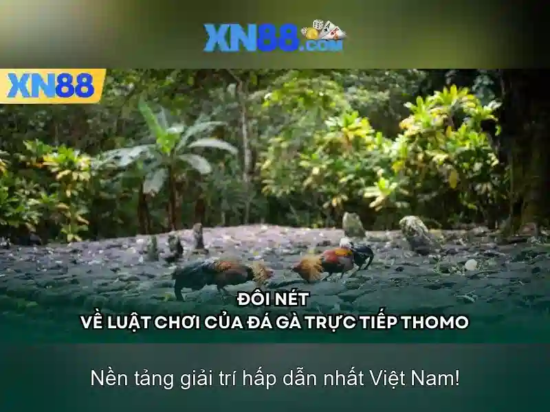 💎888slot dragon fortune💎