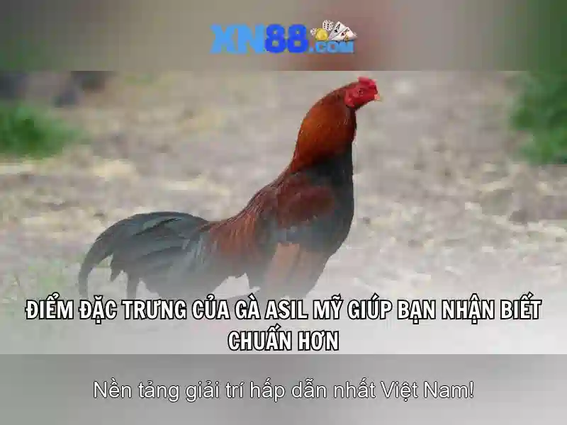 💎estrategia de 888 slot slot💎