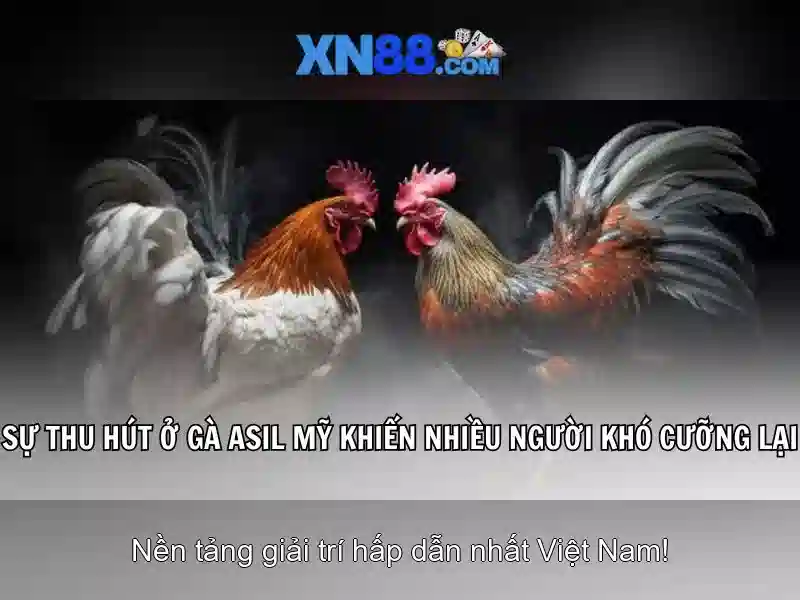 💎hb88 slot premier league💎