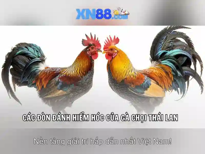 💎nhà cái 12bet www.thethao12.com💎