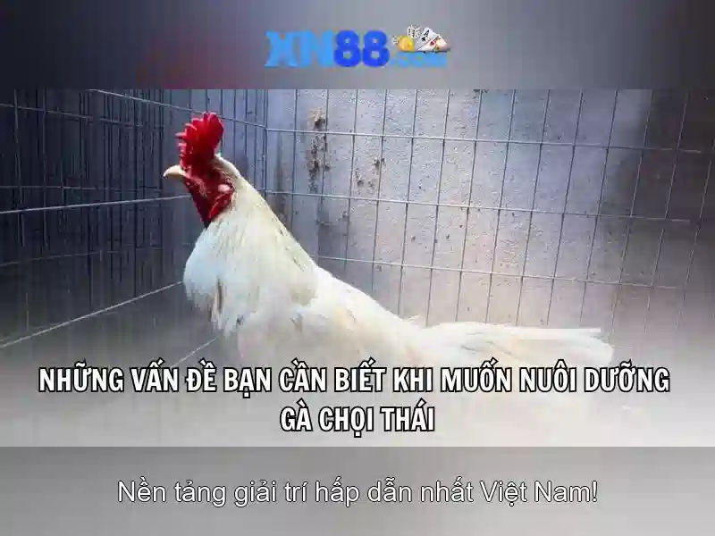 💎link bong da truc tiep keo nha cai💎