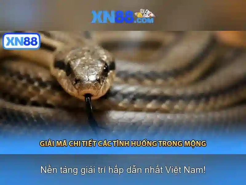 💎keo nha cai .bet💎