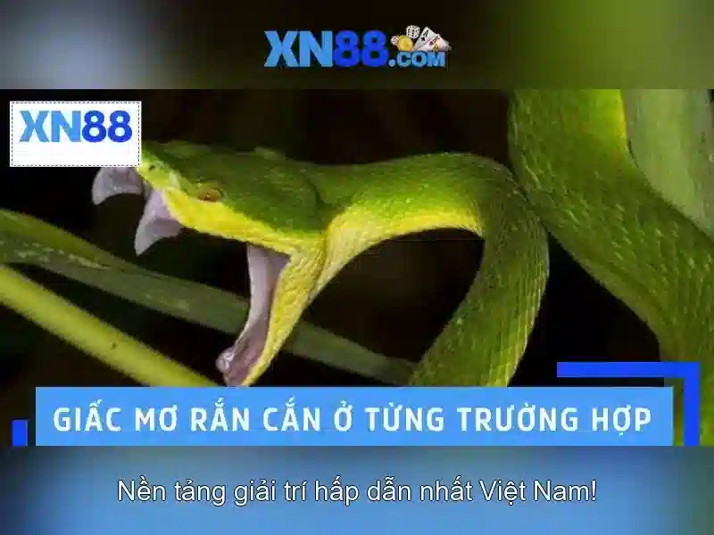 💎bắt kèo bóng đá chính xác nhất tại xn88💎