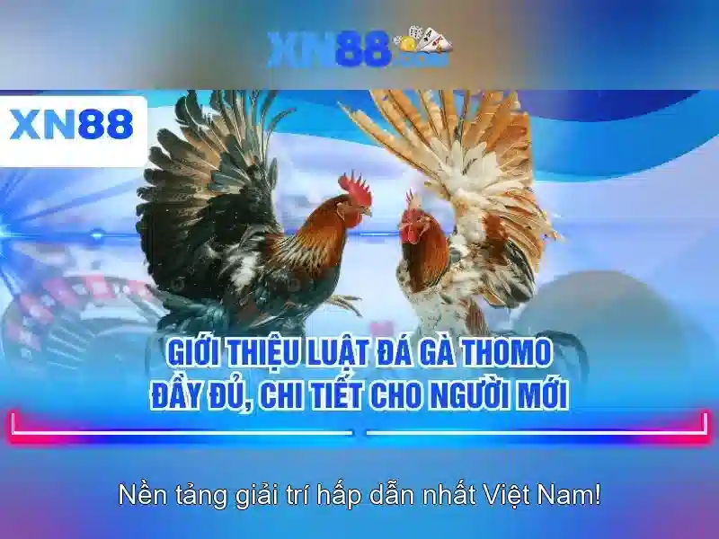 💎cskh 888 slot💎