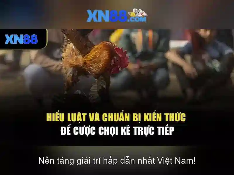 💎ti lẹ cá cược bđ💎
