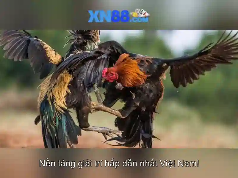 💎astrodice slot💎