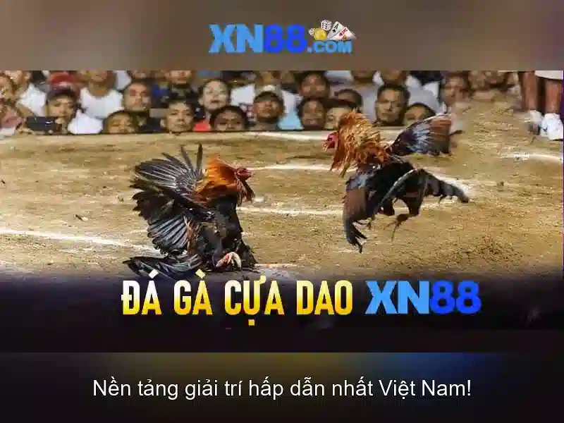 💎tỷ le kèo nhà cái💎