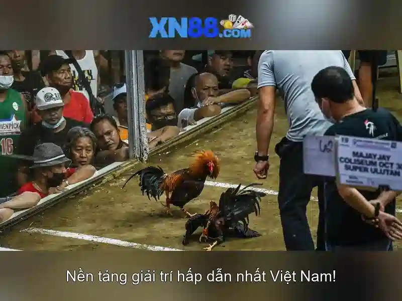 💎online slots schleswig holstein💎