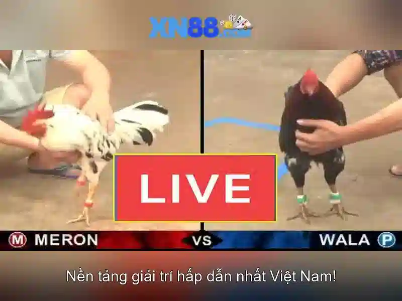 💎jeu gratuit slots💎