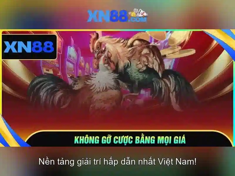 💎nhà cái uy tin 216💎