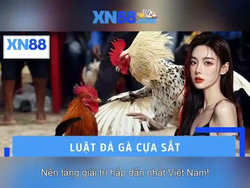 💎888 slot maintenance today💎