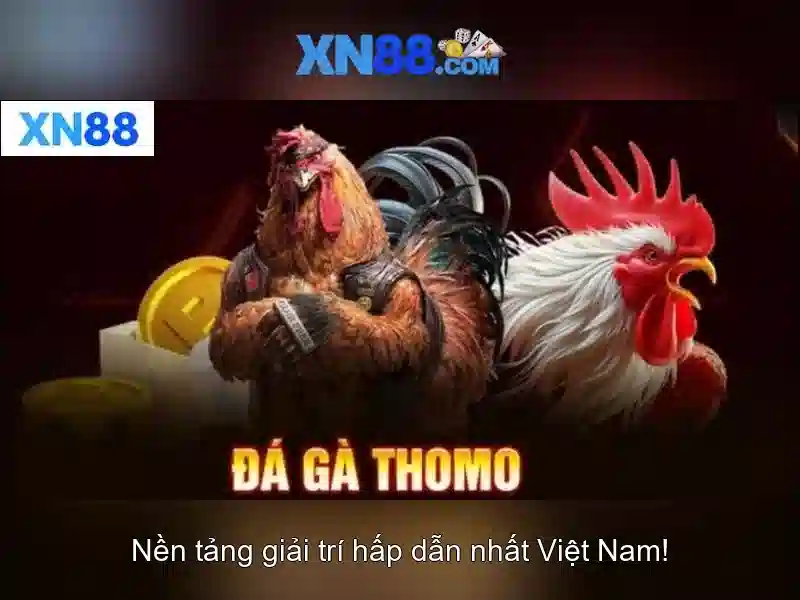 💎nhà cái tặng tiên💎