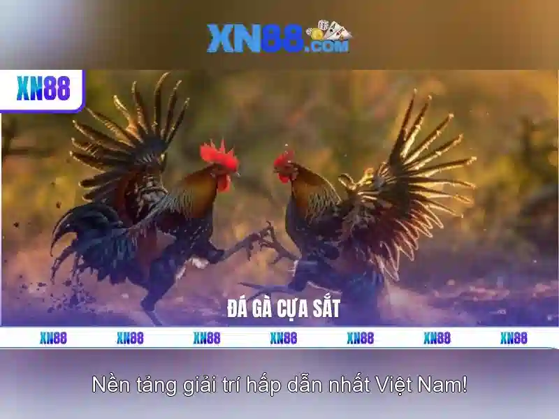 💎nhà cái uy tín 8/2023💎