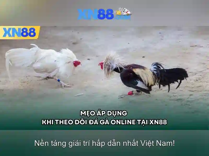 💎xn88 herbal tea calories💎