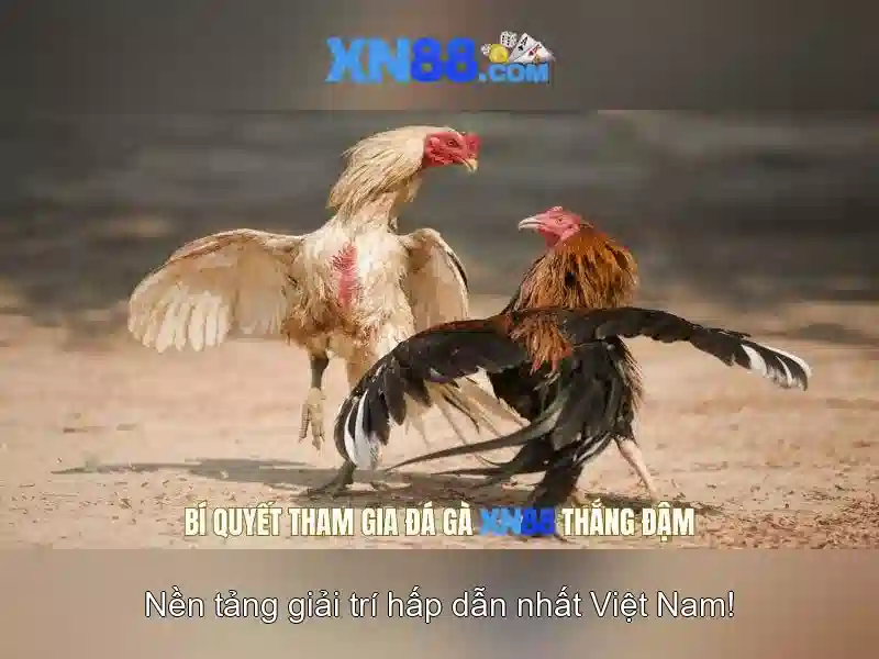 💎top10 nhà cái uy tín 223💎