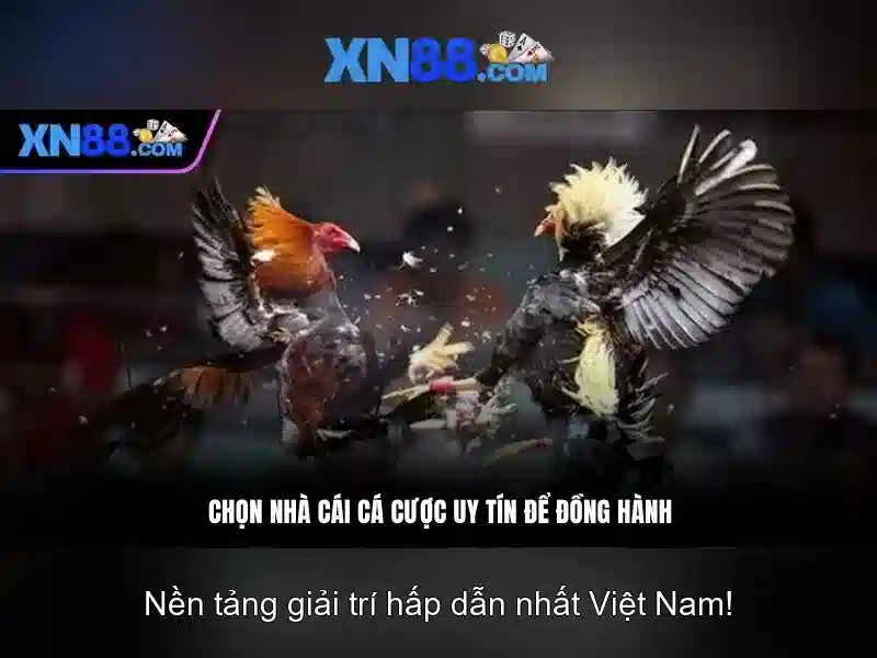 💎vipclub asia xn88 download💎