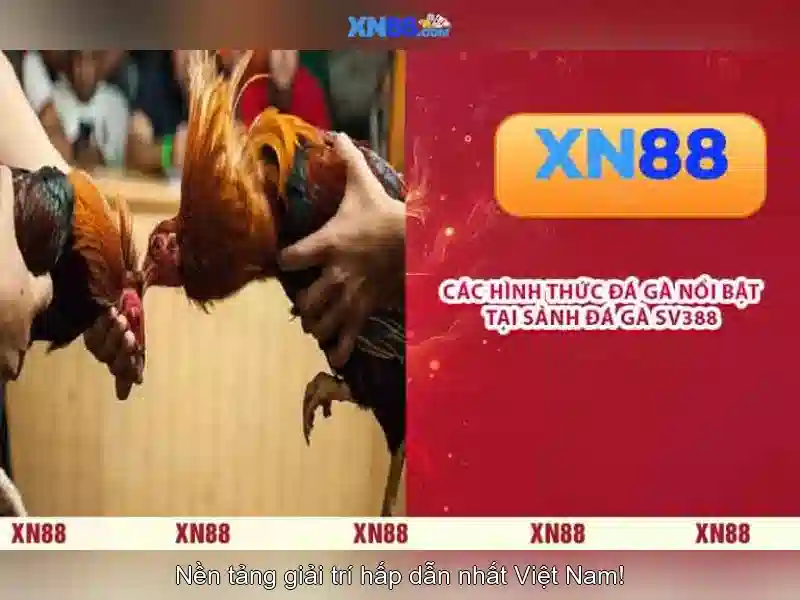 💎hb88 online casino philippines💎