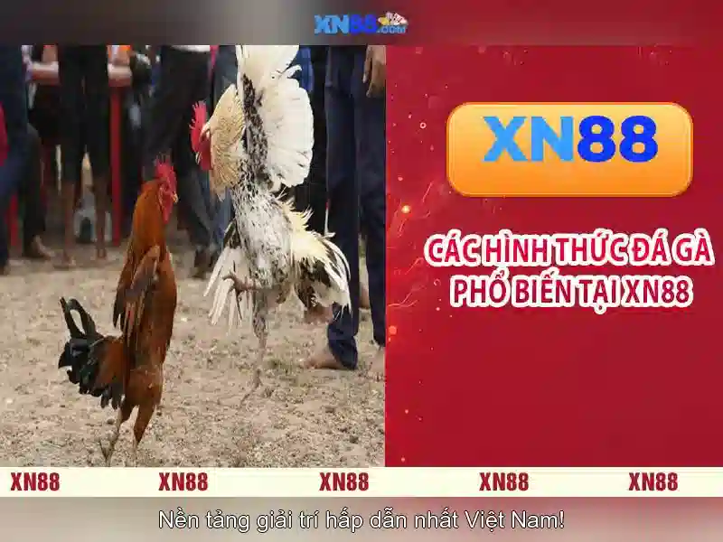 💎ca nhạc khóc một cuộc tình💎