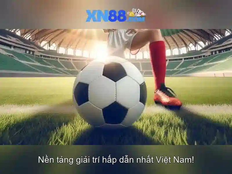 💎scatter logo xn88💎