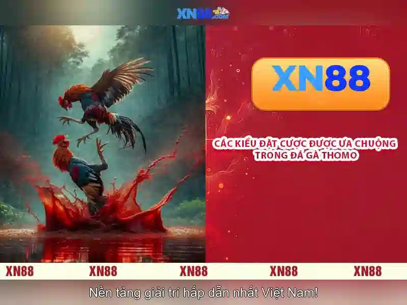 💎hb88 slot vs liverpool💎