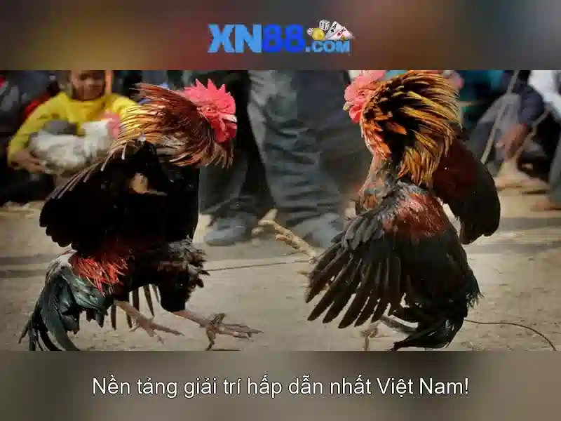 💎hb88 app apk💎