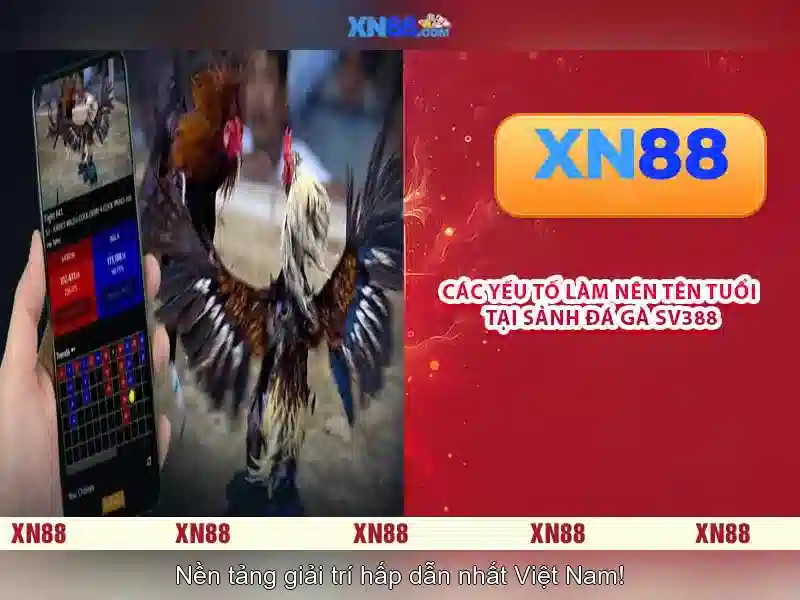 💎hb88 slot pec zwolle💎