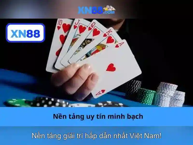 💎xn88 website💎