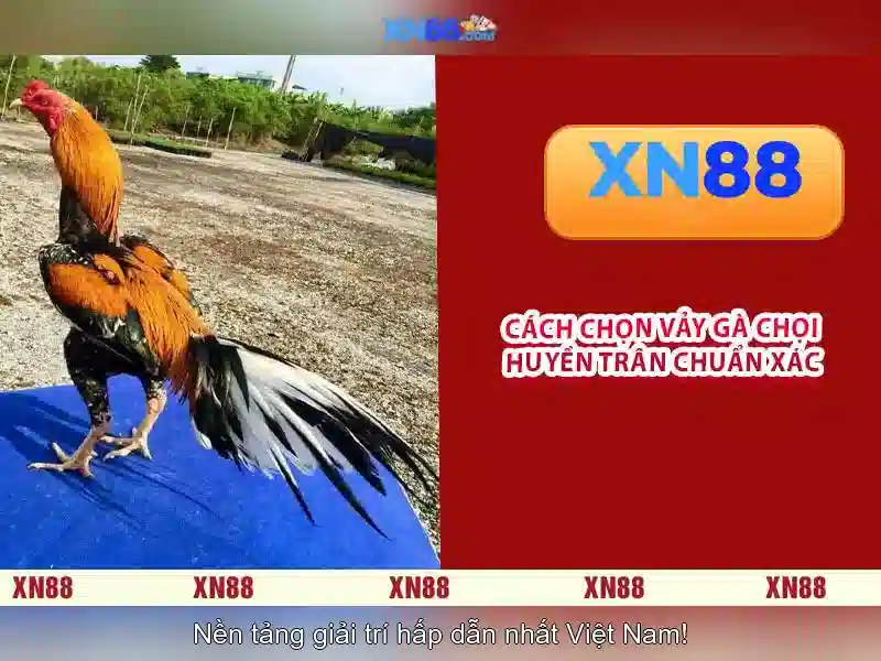 💎tien len 888 slot💎