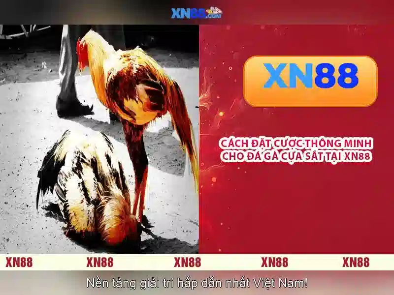 💎66b hạ long💎 - 66b hoàn tiền - opt-66b