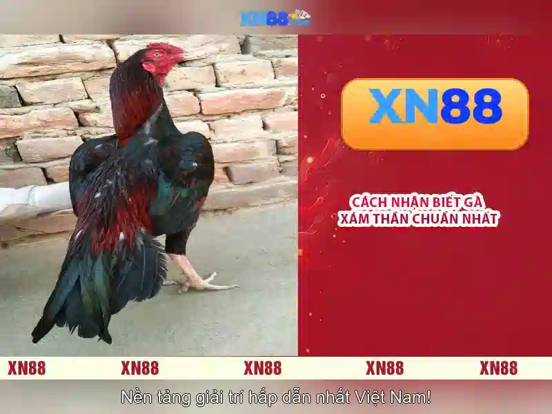 💎dell precision 7520 ram slots💎