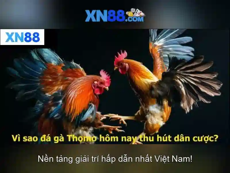 💎slots palace com💎