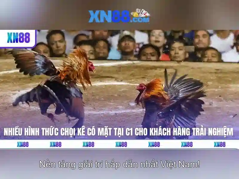 💎slot365 là gì💎 - tải Slot365 - khuyến mãi Slot365