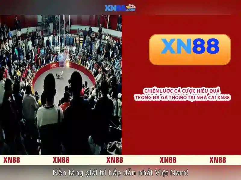 💎mega win xn88💎