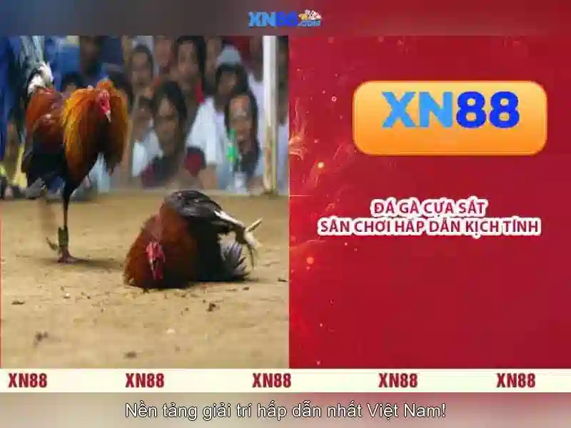 💎cuộc thi sáng tác ca khúc về hà nội💎