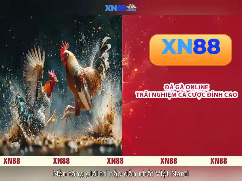 Slot XN88 - Lựa chọn giải trí lý tưởng bậc nhất năm 2026 - XN88