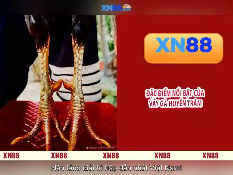 💎trang cá cược bóng đó💎