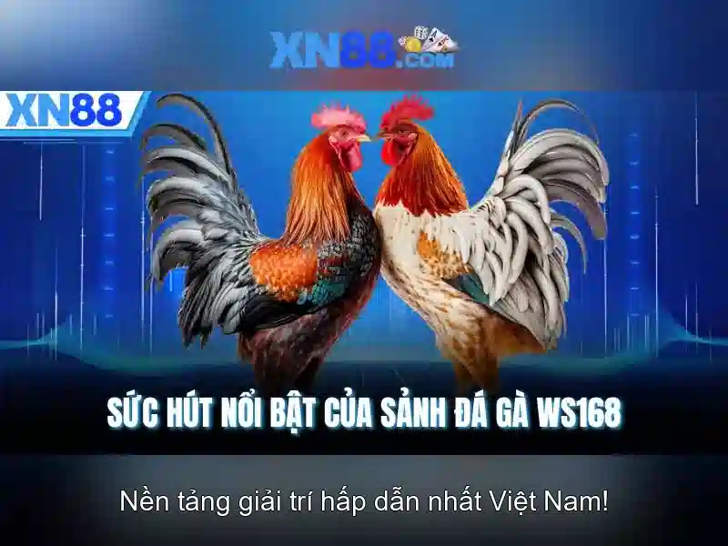 💎tỷ lệ cá cược 789💎