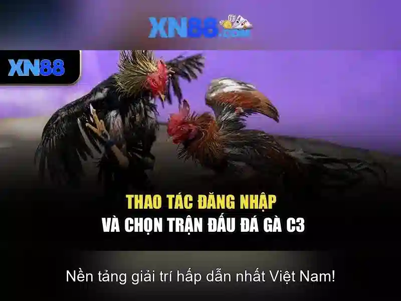 💎lady luck slot online💎