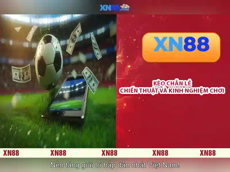 💎cái xn88 cái xn88💎